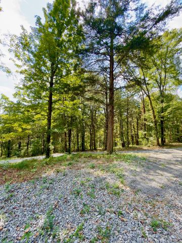 0 Ford Ln, Bradyville, TN 37026