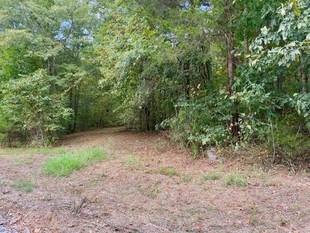 0 Ford Ln, Bradyville, TN 37026