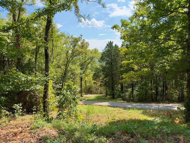 0 Ford Ln, Bradyville, TN 37026