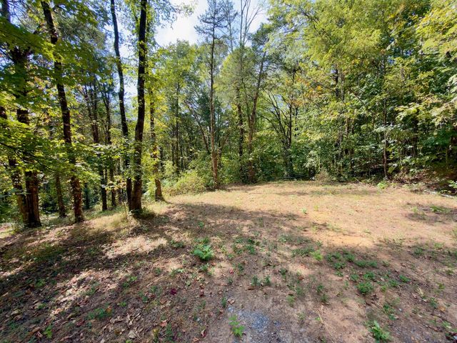0 Ford Ln, Bradyville, TN 37026