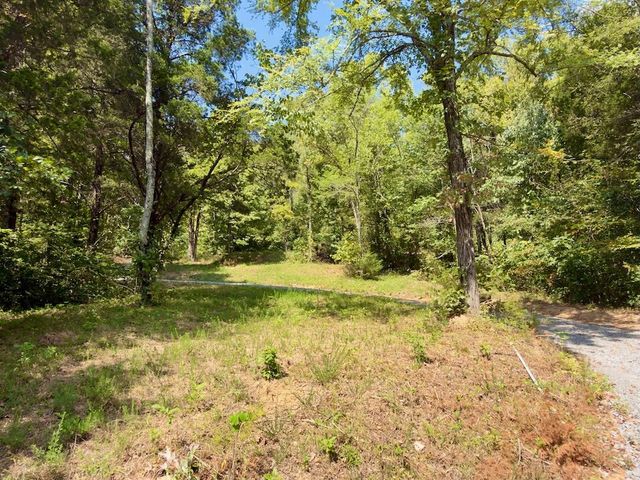 0 Ford Ln, Bradyville, TN 37026