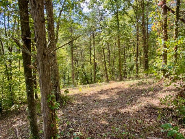 0 Ford Ln, Bradyville, TN 37026