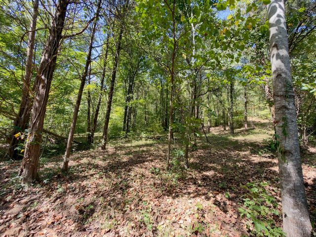 0 Ford Ln, Bradyville, TN 37026