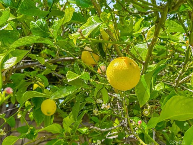 8371 Capistrano Avenue, West Hills, CA 91304