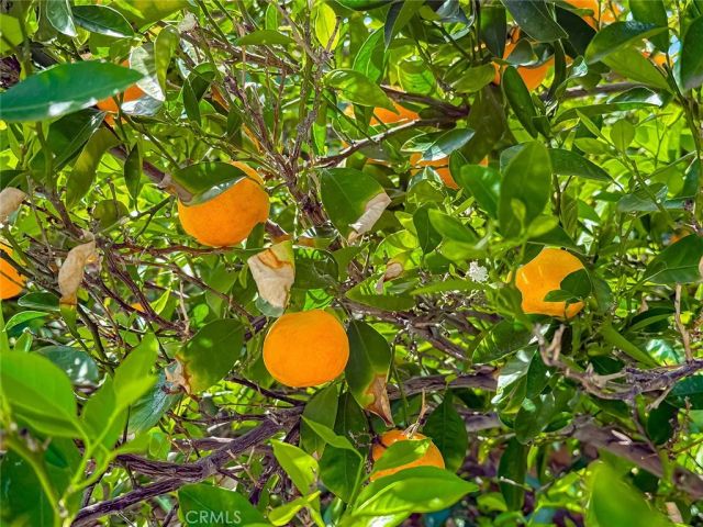 8371 Capistrano Avenue, West Hills, CA 91304