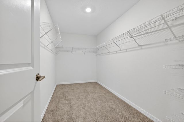 13187 PALMERSTON ROAD, Riverview, FL 33579