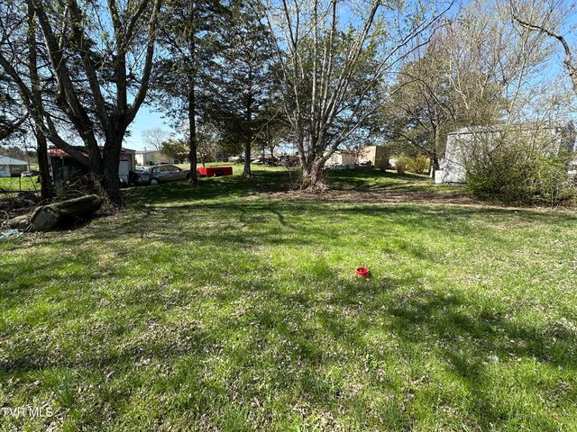 315 Alpine Loop, Mosheim, TN 37818