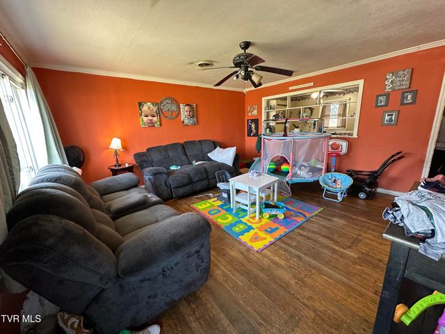 315 Alpine Loop, Mosheim, TN 37818