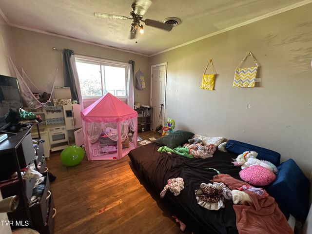 315 Alpine Loop, Mosheim, TN 37818