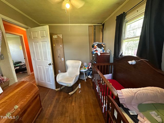 315 Alpine Loop, Mosheim, TN 37818