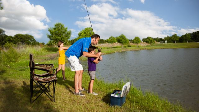 1740 Grenache Drive, Mclendon Chisholm, TX 75032