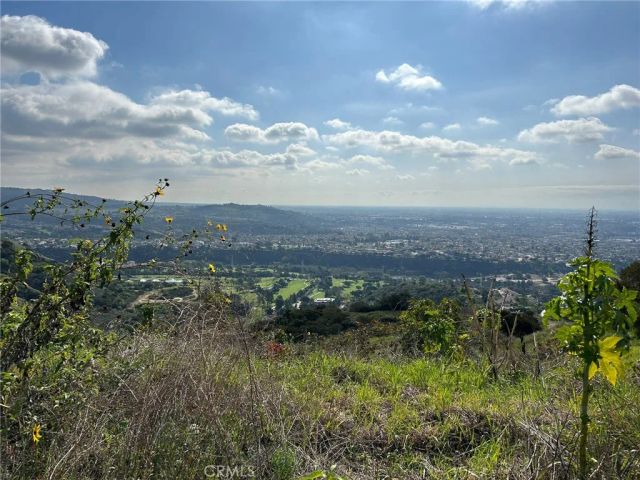 0 8678-030-029, San Dimas, CA 91773