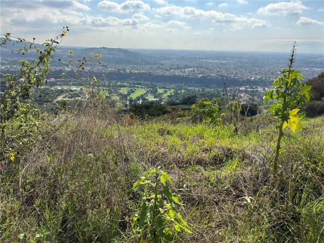 0 8678-030-029, San Dimas, CA 91773