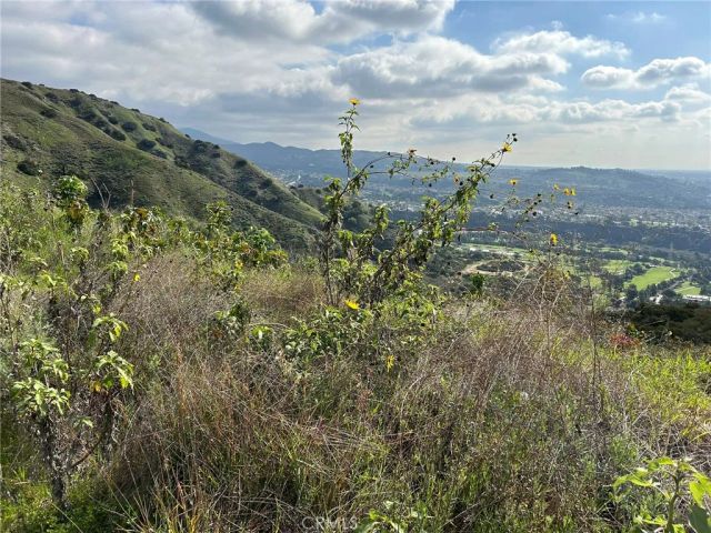 0 8678-030-029, San Dimas, CA 91773
