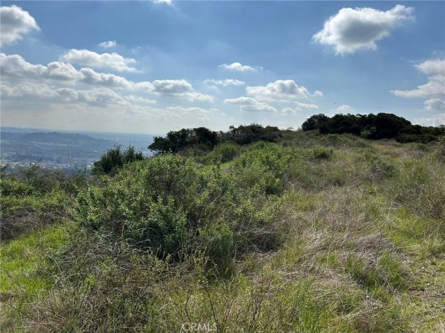 0 8678-030-029, San Dimas, CA 91773