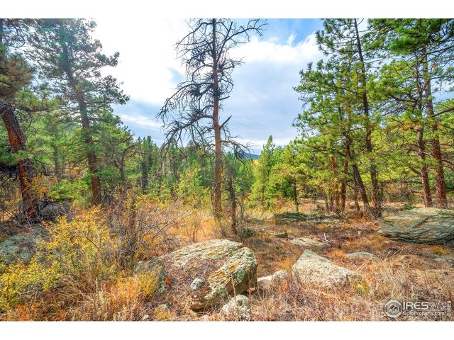 329 Snow Top Dr, Drake, CO 80515