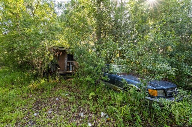 20007 BETEL PALM LANE, Land O Lakes, FL 34638