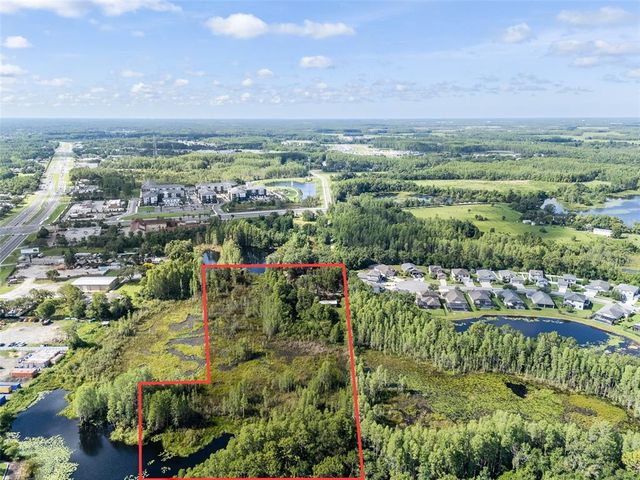 20007 BETEL PALM LANE, Land O Lakes, FL 34638
