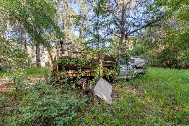 20007 BETEL PALM LANE, Land O Lakes, FL 34638