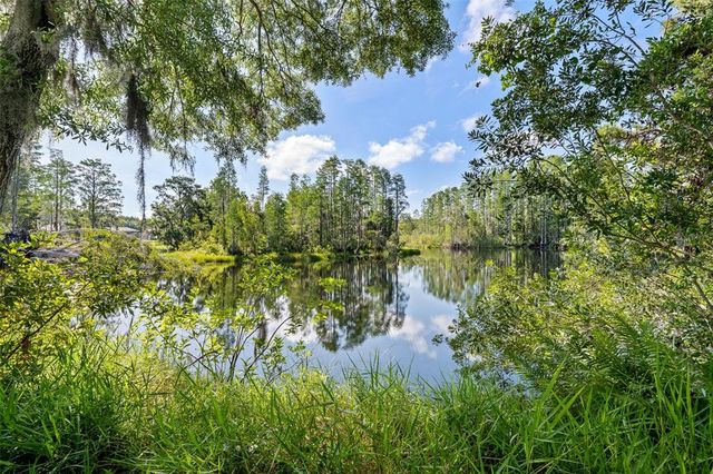 20007 BETEL PALM LANE, Land O Lakes, FL 34638