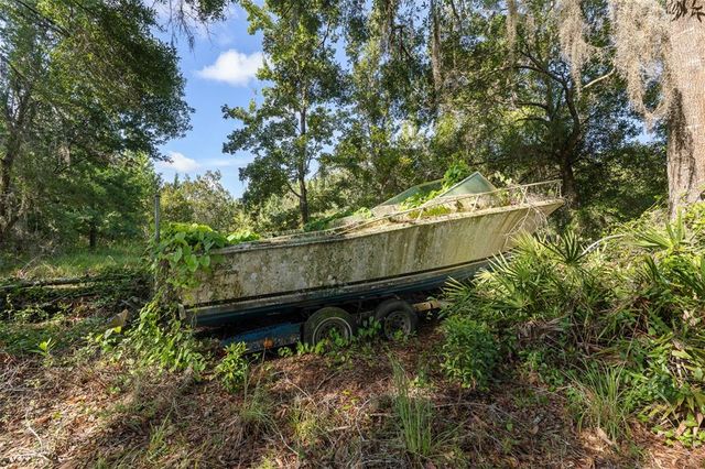 20007 BETEL PALM LANE, Land O Lakes, FL 34638