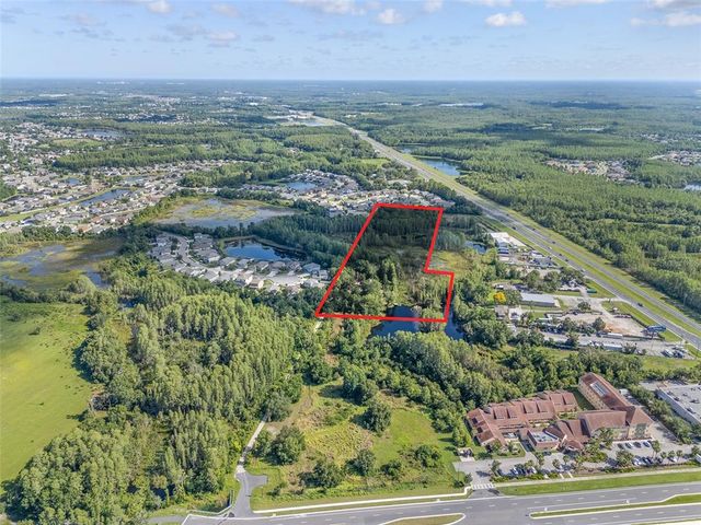 20007 BETEL PALM LANE, Land O Lakes, FL 34638