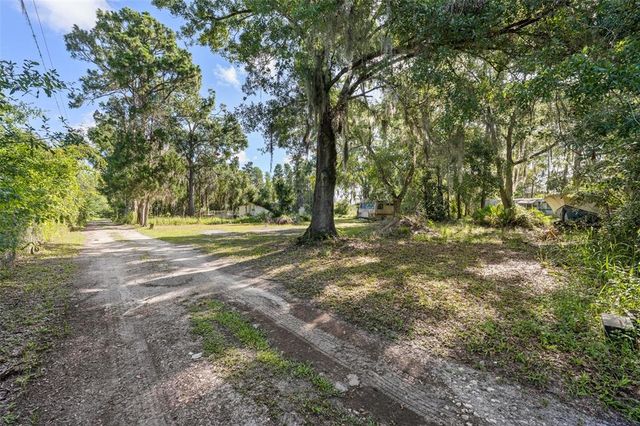 20007 BETEL PALM LANE, Land O Lakes, FL 34638
