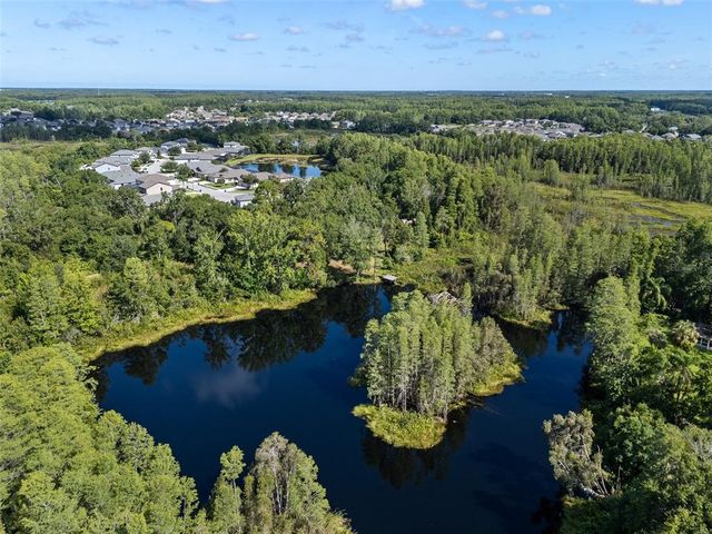 20007 BETEL PALM LANE, Land O Lakes, FL 34638