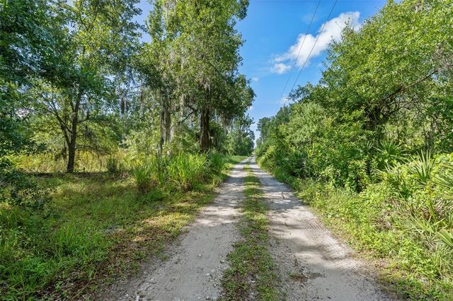 20007 BETEL PALM LANE, Land O Lakes, FL 34638