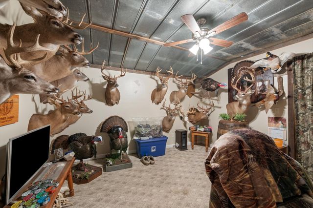 5971 Wayman Dunn Rd, Springfield, TN 37172