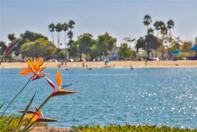 7316 N Marina Pacifica North, Long Beach, CA 90803