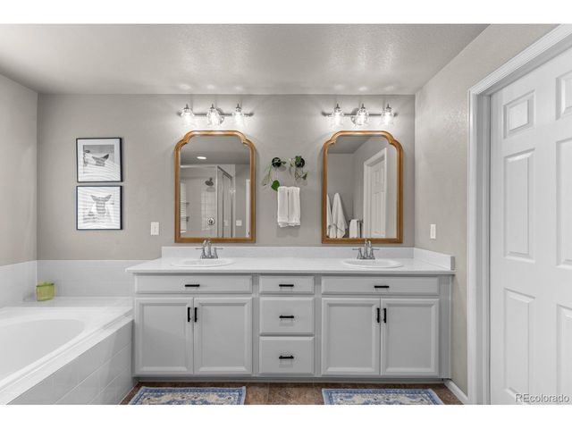 2719 Saltbrush Dr, Loveland, CO 80538