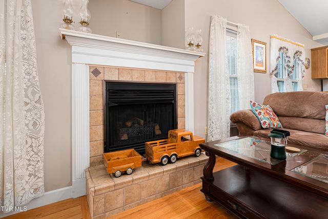 313 Lily Lane, Mountain City, TN 37683