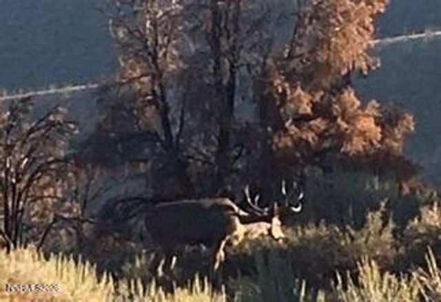 8522 Pinenut Creek Road, Gardnerville, NV 89410