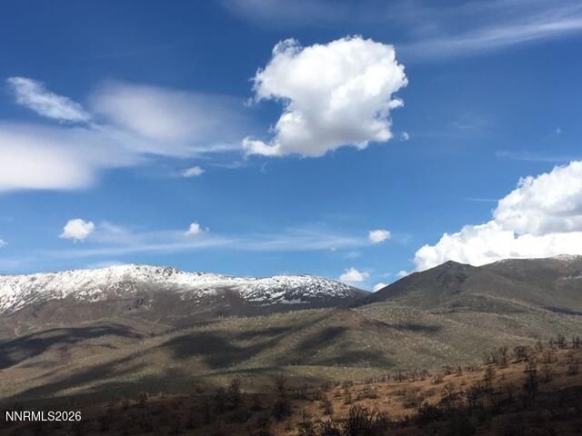 8522 Pinenut Creek Road, Gardnerville, NV 89410