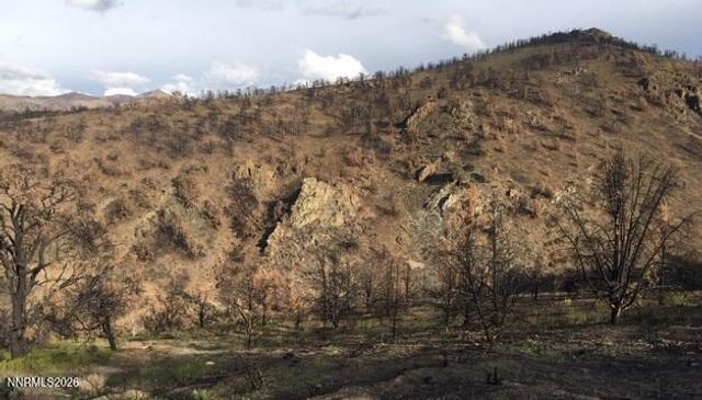 8522 Pinenut Creek Road, Gardnerville, NV 89410