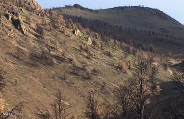 8522 Pinenut Creek Road, Gardnerville, NV 89410