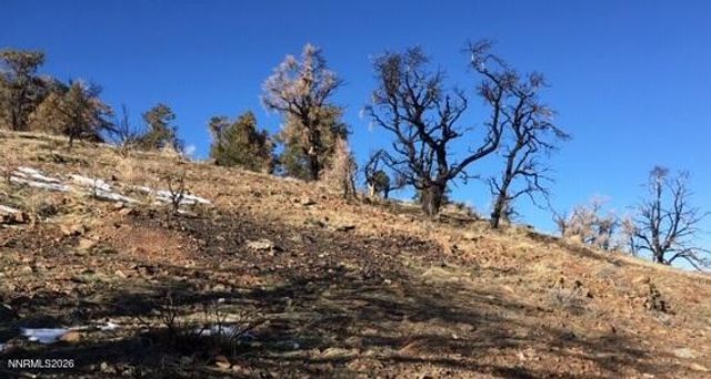 8522 Pinenut Creek Road, Gardnerville, NV 89410