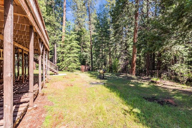 18008 N Mace Dr, Pioneer, CA 95666