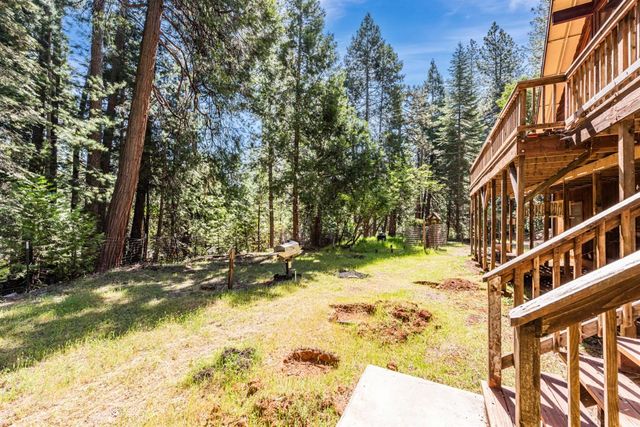 18008 N Mace Dr, Pioneer, CA 95666