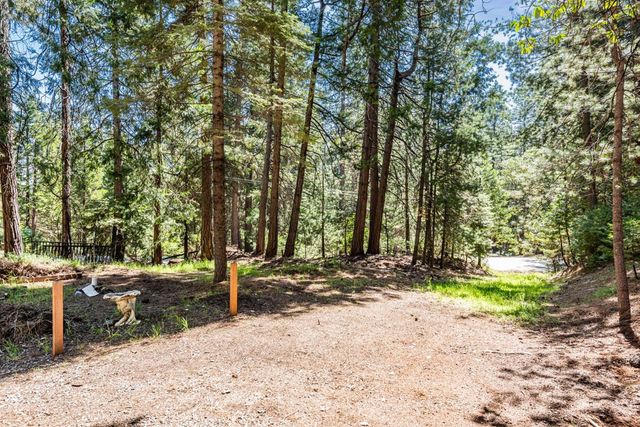 18008 N Mace Dr, Pioneer, CA 95666