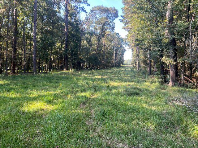 00 Hardy Bottom Road, Huntsville, TX 77340