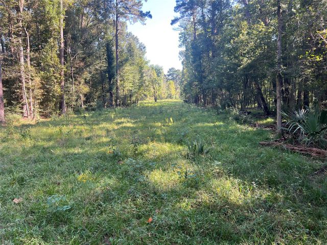 00 Hardy Bottom Road, Huntsville, TX 77340
