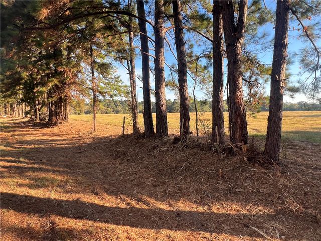 00 Hardy Bottom Road, Huntsville, TX 77340