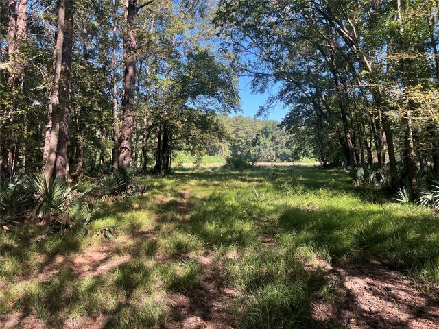 00 Hardy Bottom Road, Huntsville, TX 77340