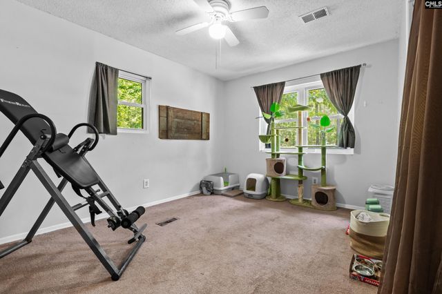 1228 Page Derrick Road, Irmo, SC 29063