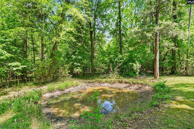 1228 Page Derrick Road, Irmo, SC 29063