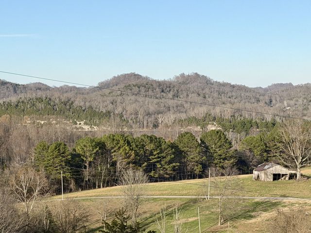 14 Cordell Hull Ln, Elmwood, TN 38560