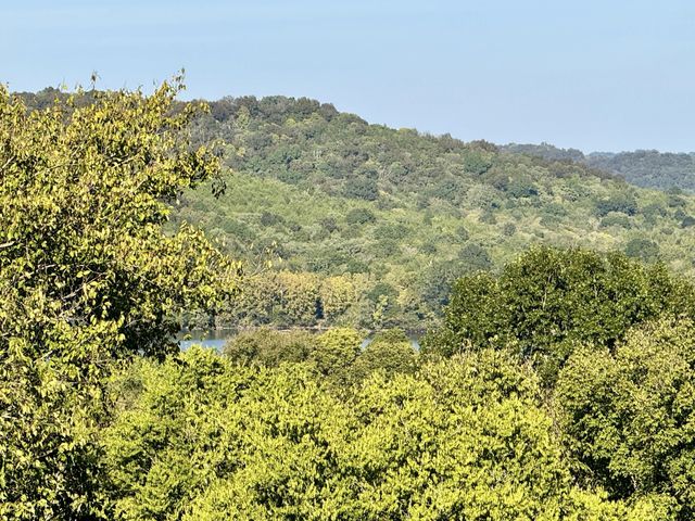 14 Cordell Hull Ln, Elmwood, TN 38560