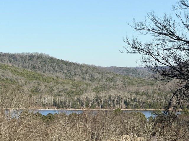 14 Cordell Hull Ln, Elmwood, TN 38560